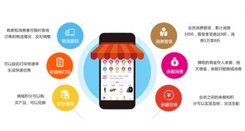 贝立凯代理商系统开发与销售模式解析 电子产品电商运营新路径
